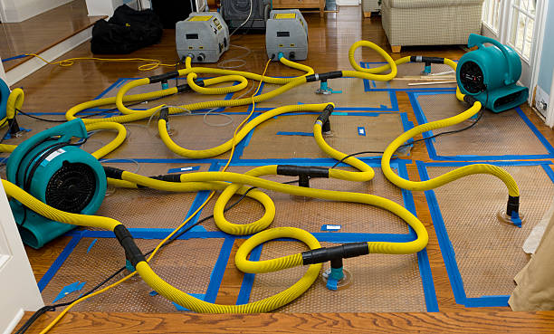 Professional Water Extraction technician working in Leonard, ND